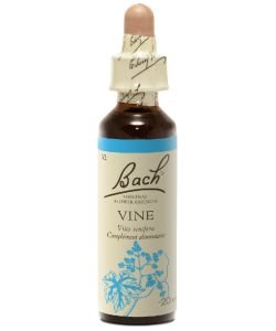 Vigne - Vine (n°32), 20 ml