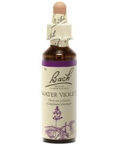 Violette d'eau - Water Violet (n°34)