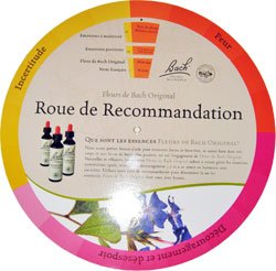 wheel recommendation bach flowers
