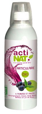 Articular supplement BIO, 500 ml