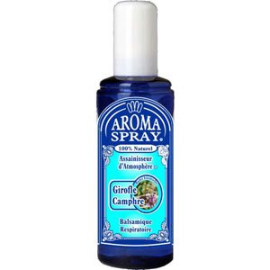 Assainisseur d'atmosphère - Girofle - Camphre, 100 ml