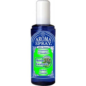 Assainisseur d'atmosphère-Menthe - Eucalyptus, 100&nbsp;ml