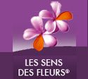 Les Sens des Fleurs : Discover products