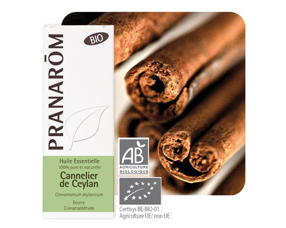 Cannelier De Ceylan Utilisation – YOVZ
