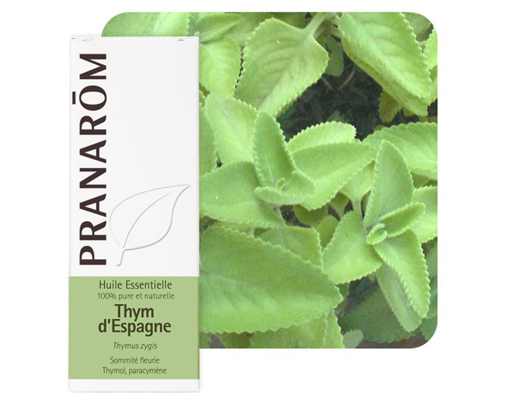 Huile essentielle de thym d'Espagne 5ml Pranarom.