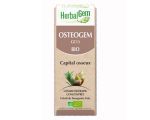 Osteogem