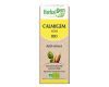Calmigem