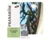 Eucalyptus smithii