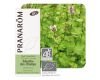 Menthe des champs