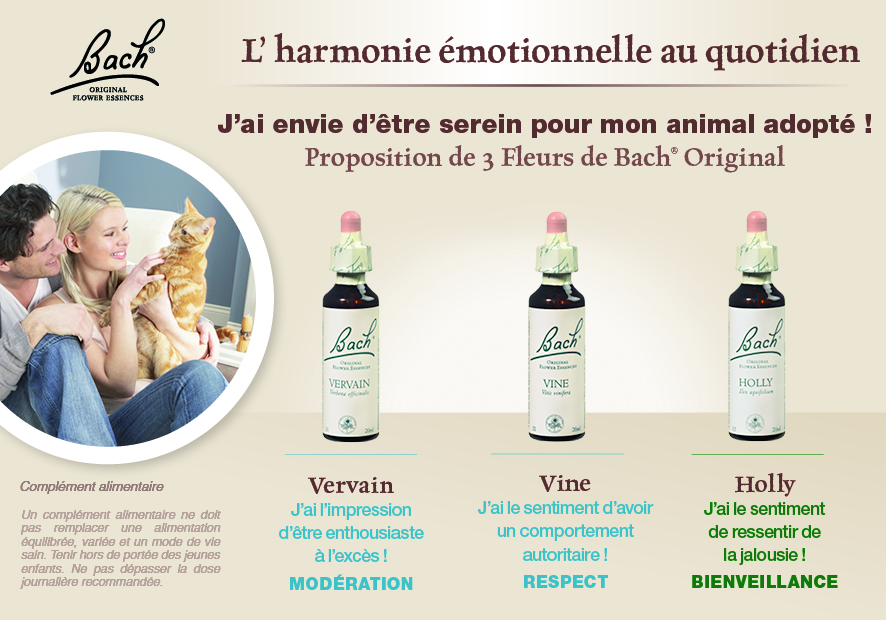 Conseil pour l'harmonie émotionnelle au quotidien