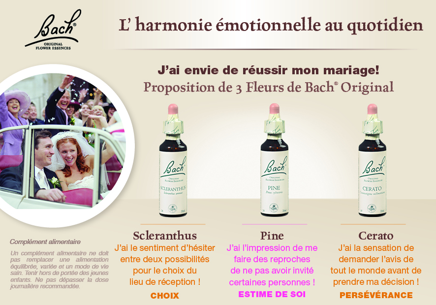 Conseil pour l'harmonie émotionnelle au quotidien