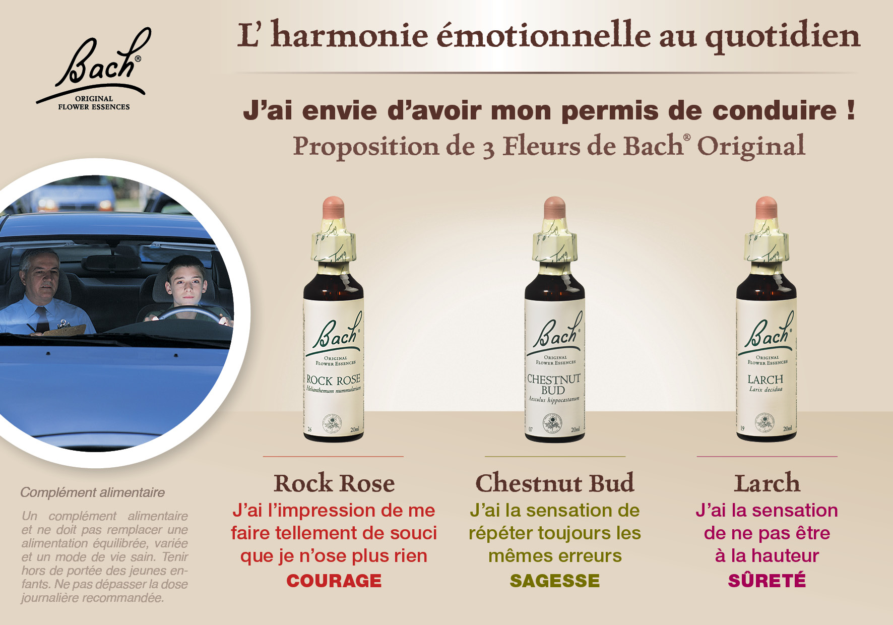 Conseil pour l'harmonie émotionnelle au quotidien