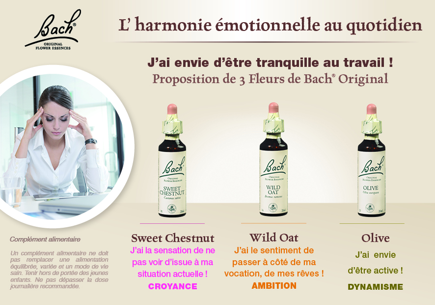 Conseil pour l'harmonie émotionnelle au quotidien