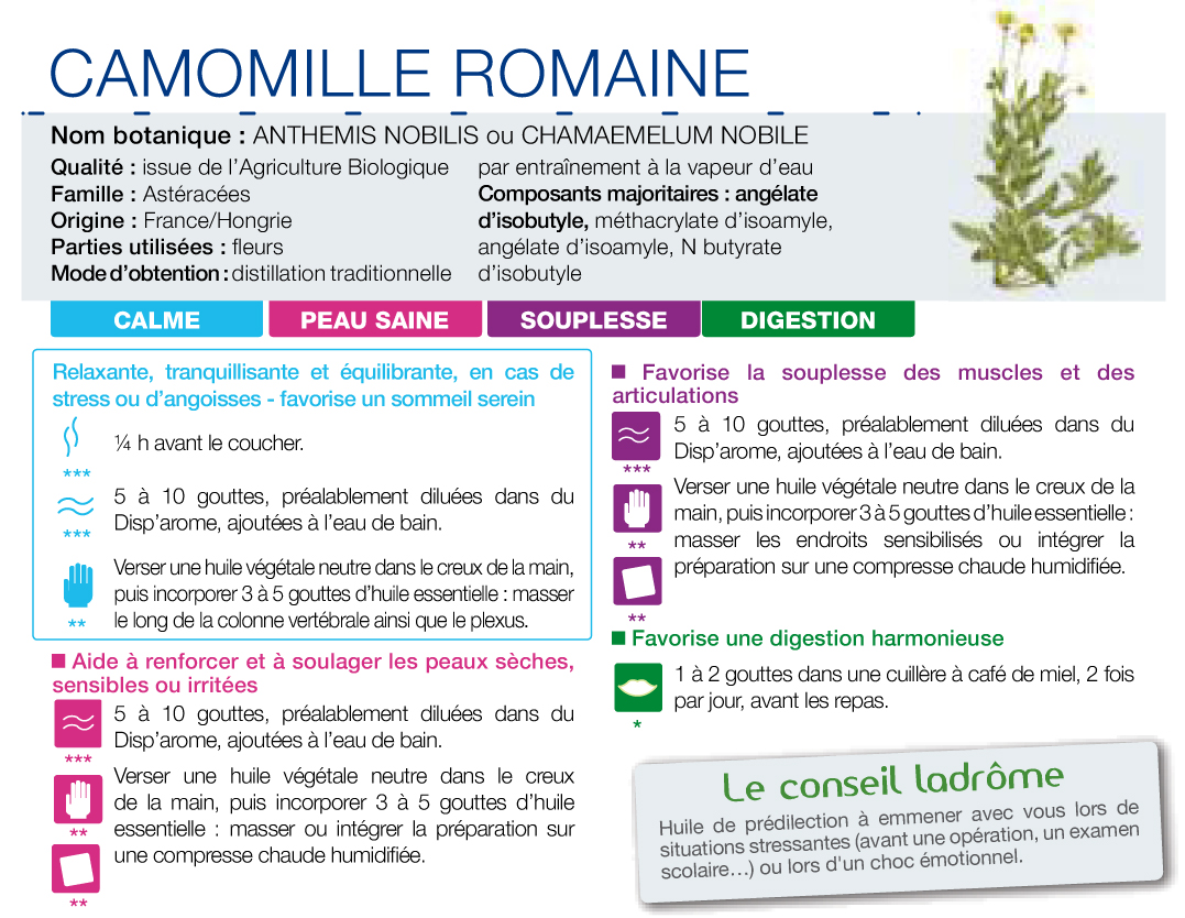 Fiche technique HE Camomille romaine