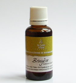 Bruyère (Calluna vulgaris) bourgeon BIO, 30 ml