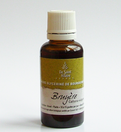 Heather (Calluna vulgaris) bud BIO, 30 ml