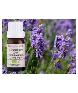 Huile Essentielle De Lavande Vraie (Lavandula Angustifolia) - 250 Ml - Bouteille Verre - Fabriqué En France