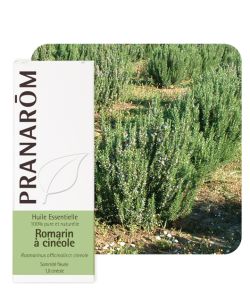 Rosmarinus officinalis : huile essentielle de romarin à cinéole - Pranarom.