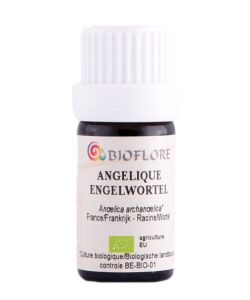 Angélique Angelica Archangelica En Racine - 30g - Plantes à Vaporiser