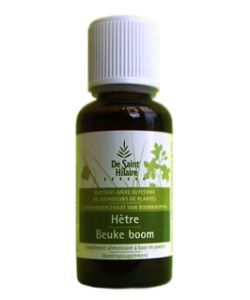 Beech (Fagus sylvatica) bud - 30ml - De Saint-Hilaire