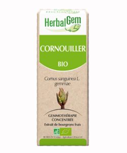 Circulation : bourgeon de cornouiller bio (50ml) - Herbalgem Circulation : bourgeon de cornouiller bio (50ml) - Herbalgem