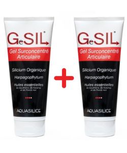 gel organic articular traumatism la articulația șoldului